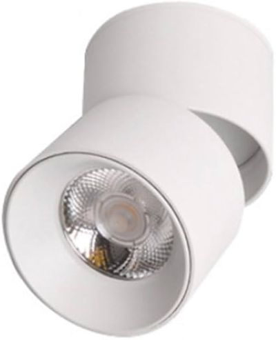 Foco Superficie Basculante 10W 4000K LDG2920B-10 WH 600LM 72 X 132 mm EVOLIGHT BLANCO (2)