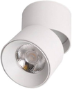 Foco Superficie Basculante 10W 4000K LDG2920B-10 WH 600LM 72 X 132 mm EVOLIGHT BLANCO (2)