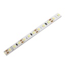 Cinta 4100K 12v 10W ECOLA2-ECO 5 MT 120led/mts IP-20 8 MM (2)