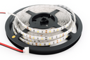 Cinta 6000K 12V 4.8W SMD 3528 60LED/MTS 5 MTS IP-65 (2)