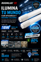 Tubo LED 18w 6500K FROST G-13 B25515 90-277V 1800 LM VIDRIO 100 lm/w ROOMLUX