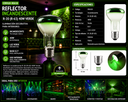 Reflector R-20 (R-63) 40W Verde